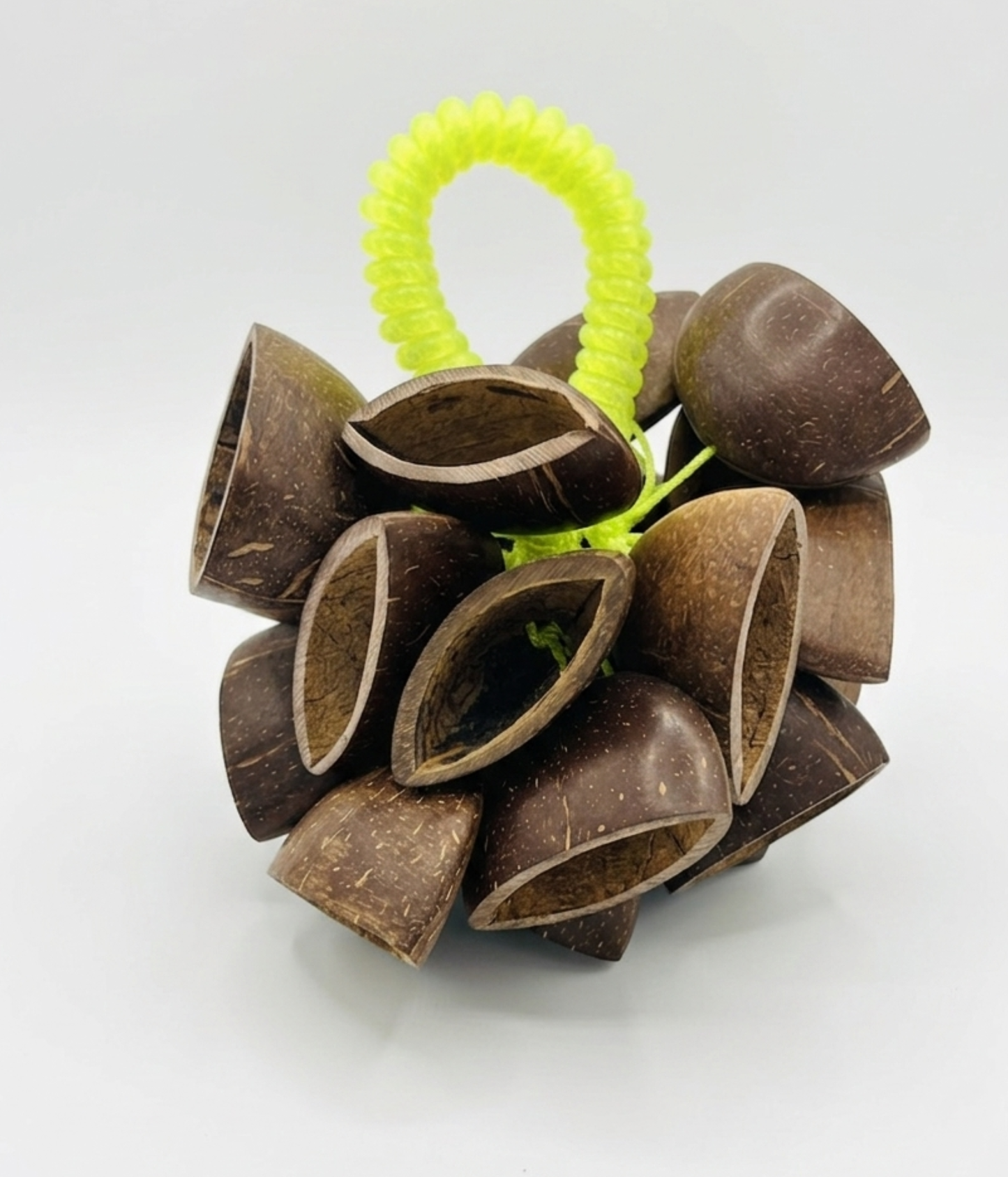 Coconut Shell Sea Rattle