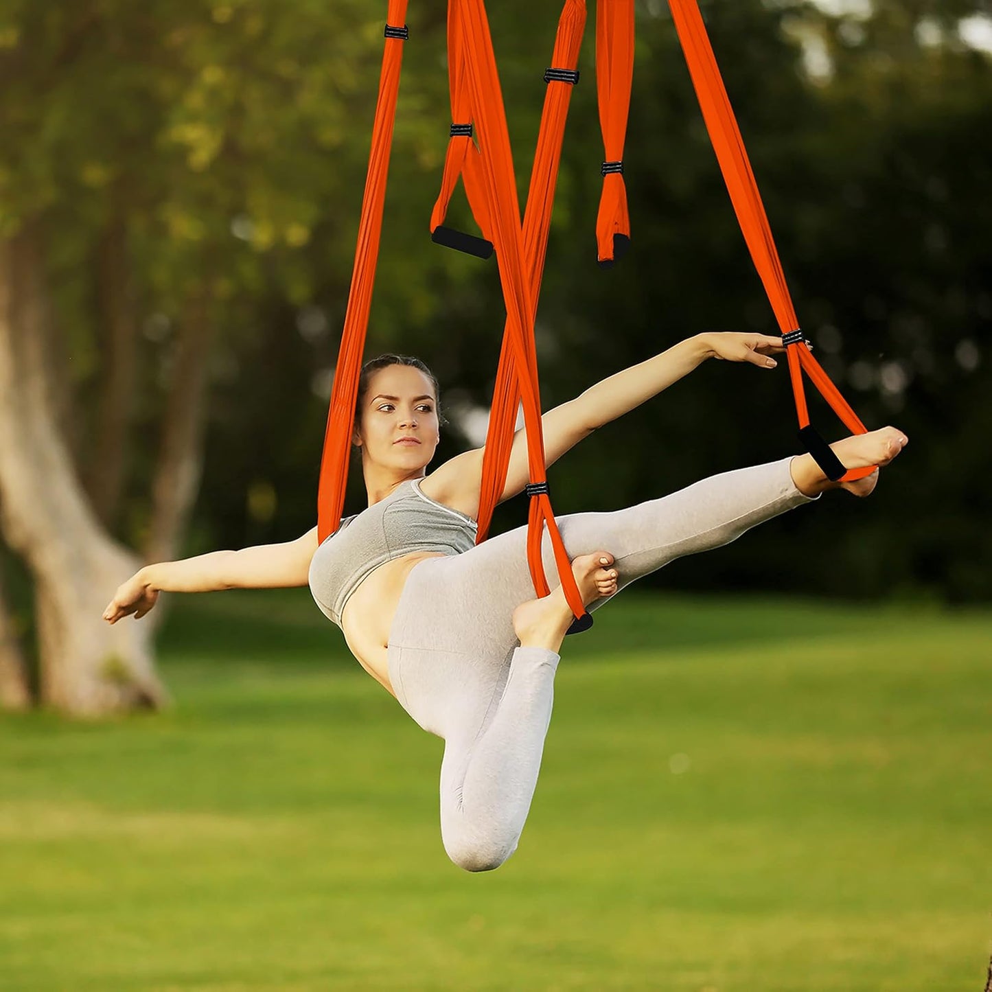 Yoga Trapeze – Yoga Swing/Sling/Inversion Tool | Lycra Fabric |