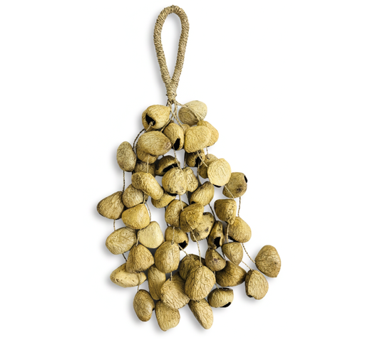 Pangi Seed Shell Rattle