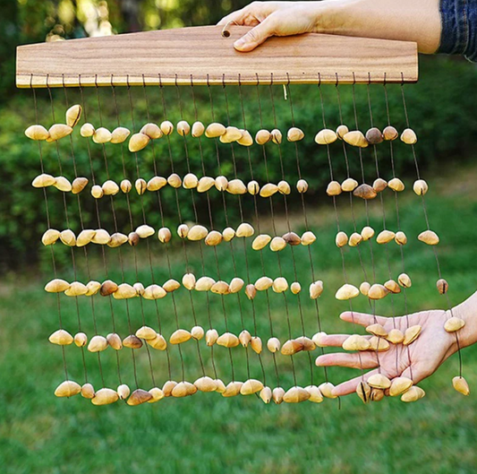 Handmade Waterfall Pangi Seed Shell Chime